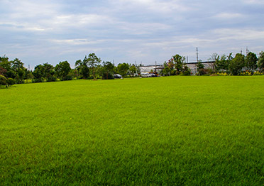 江油市彩虹田生態(tài)農業(yè)科技有限公司