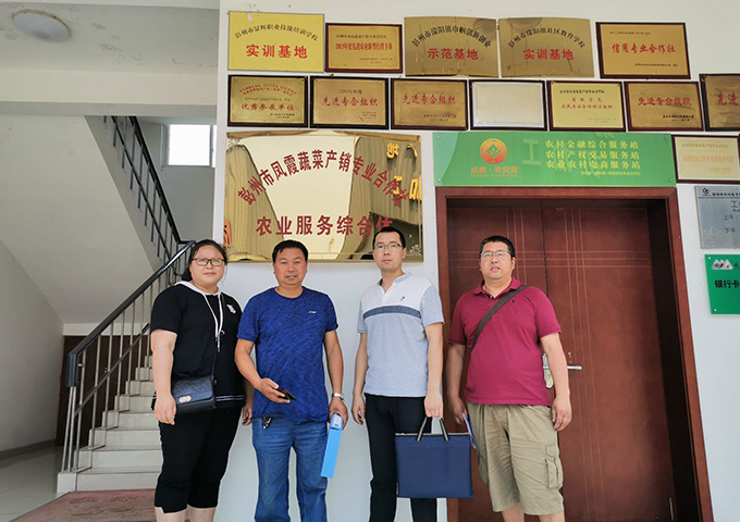 彭州市鳳霞蔬菜產(chǎn)銷(xiāo)專(zhuān)業(yè)合作社綠色蔬菜審核通過(guò)